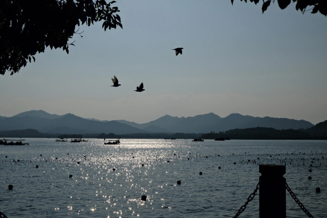 西湖天气晴