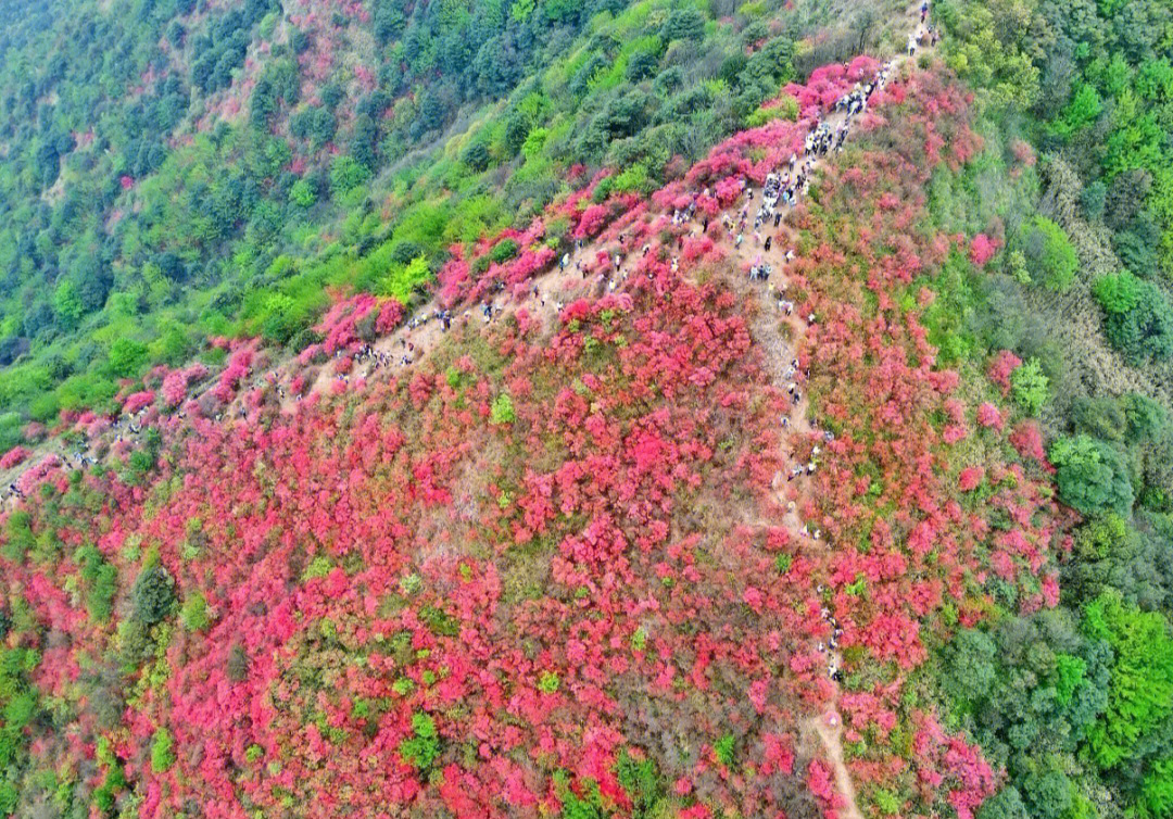 从化通天蜡烛山简介图片