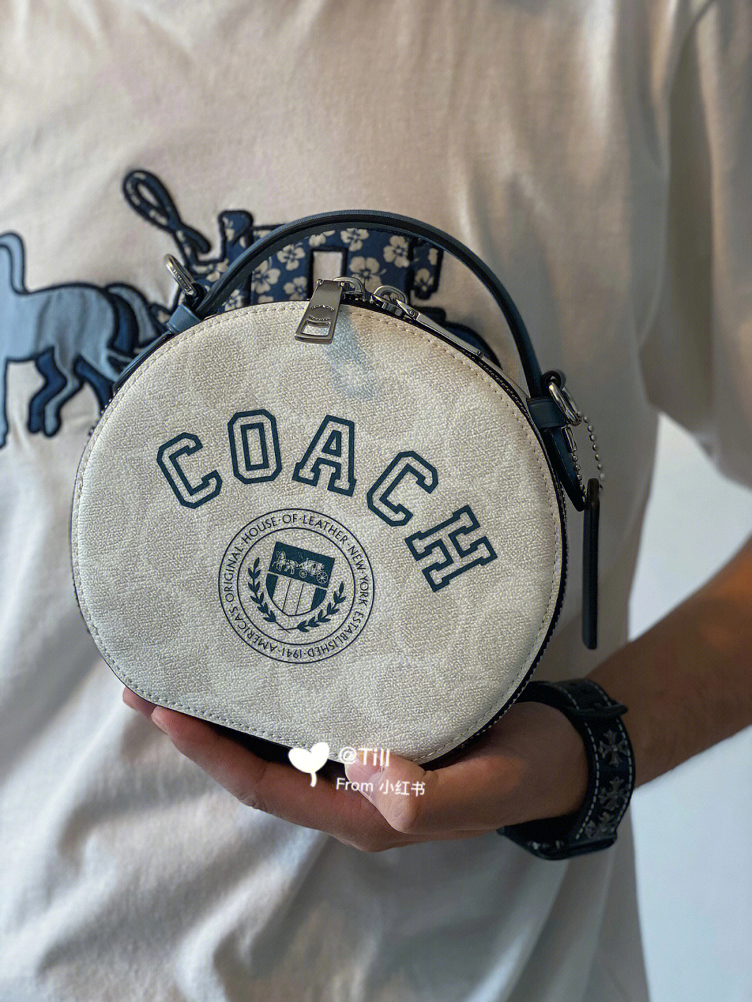 coach小圆包图片