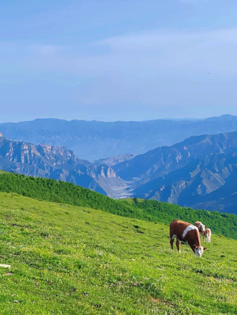 梁东灵山图片