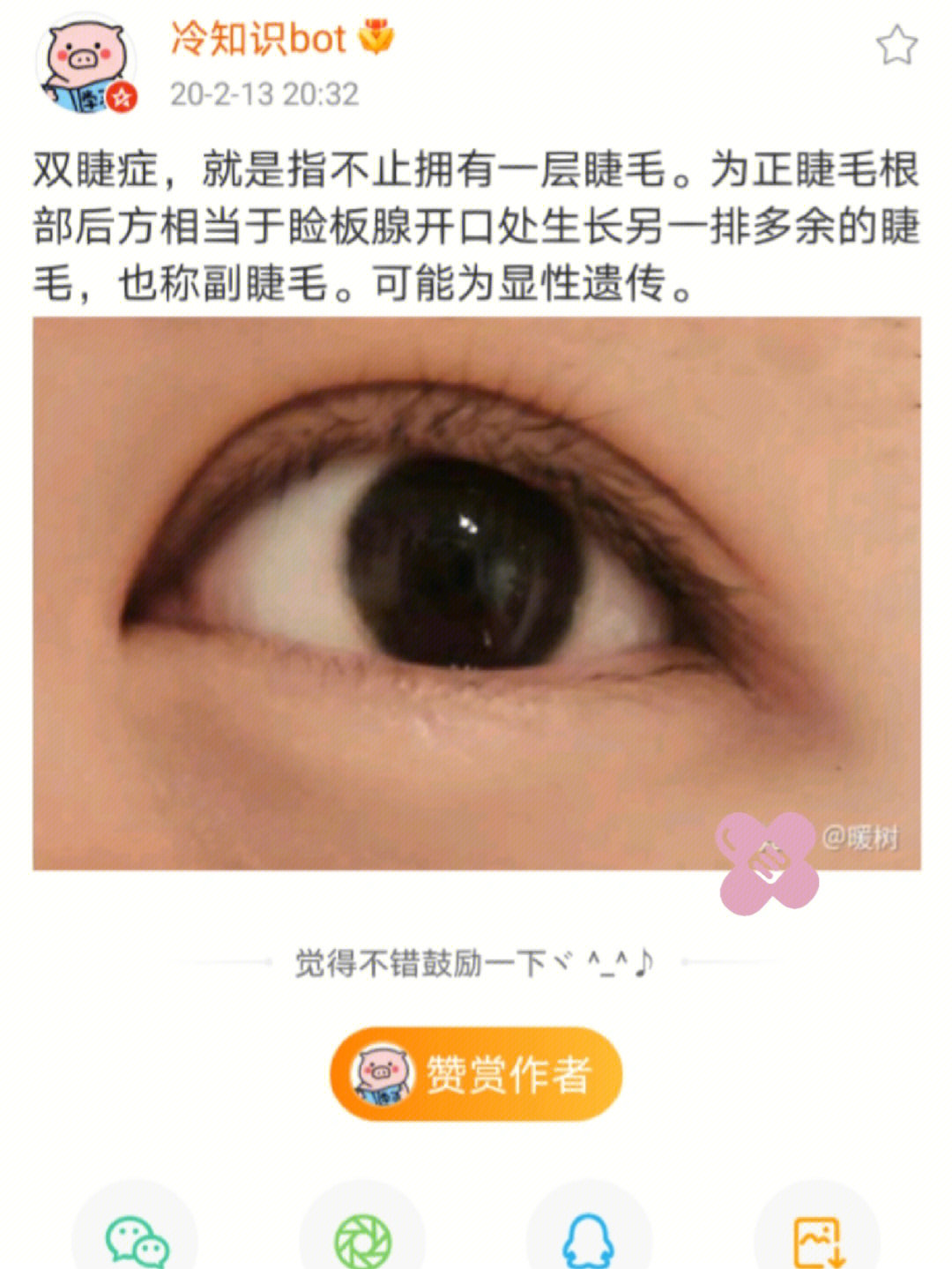 平时经常有多层睫毛的客人,包括我自己也是这种双睫,如果不在睫毛根上
