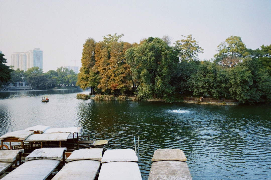 荔湾湖公园