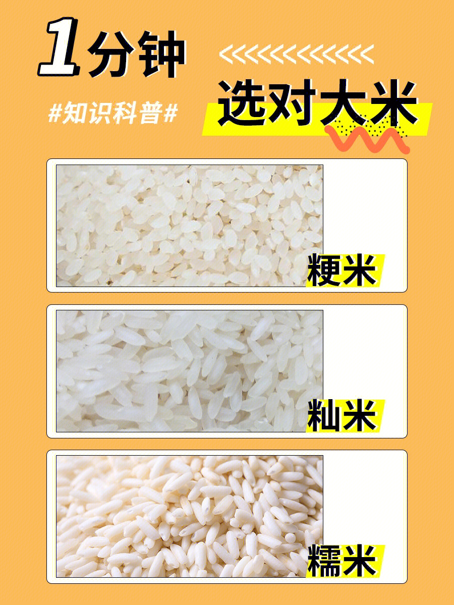 米的种类都有哪些图片
