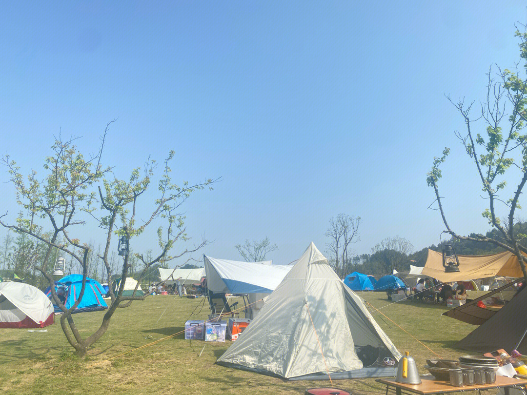 去南川黎香湖星空露营基地晒太阳吧