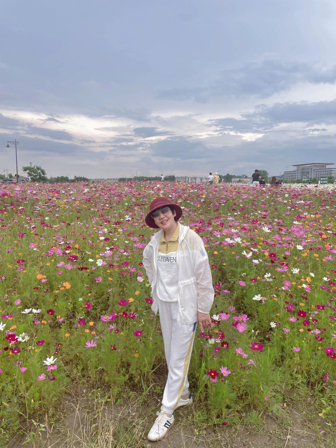 湘湖三期花海摇橹船