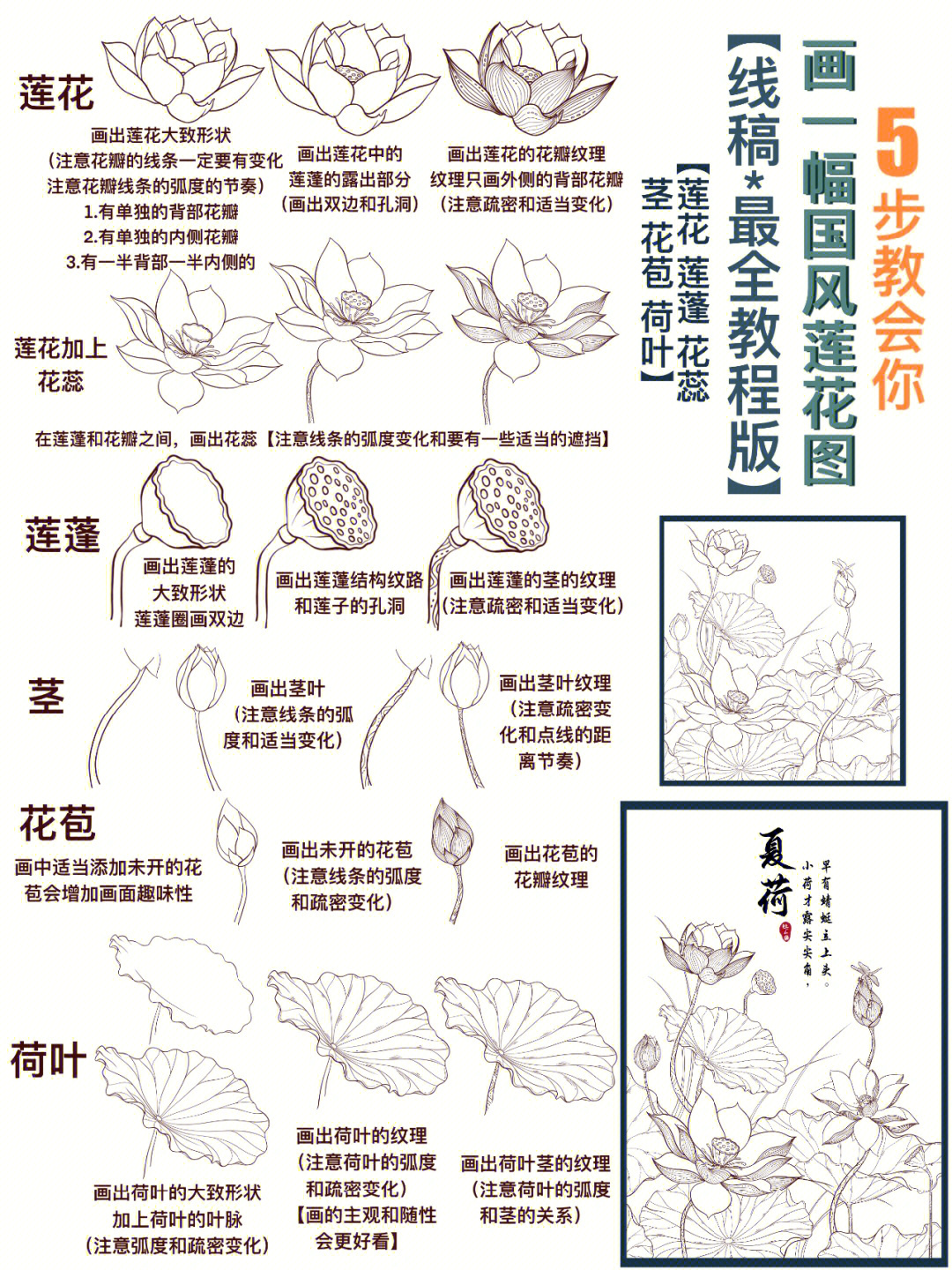 5步教你画荷花图国风最全教程线稿