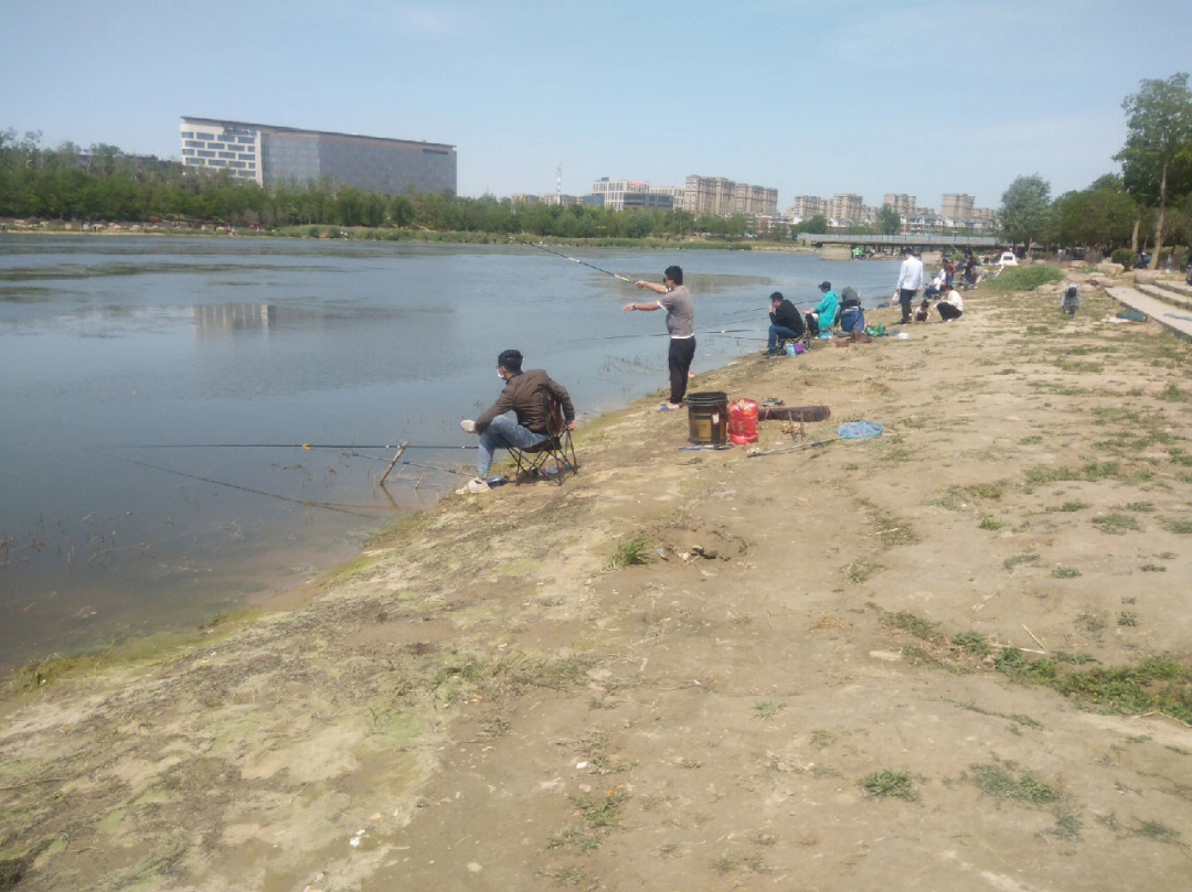 郑州贾鲁河畔来这里垂钓的人真多