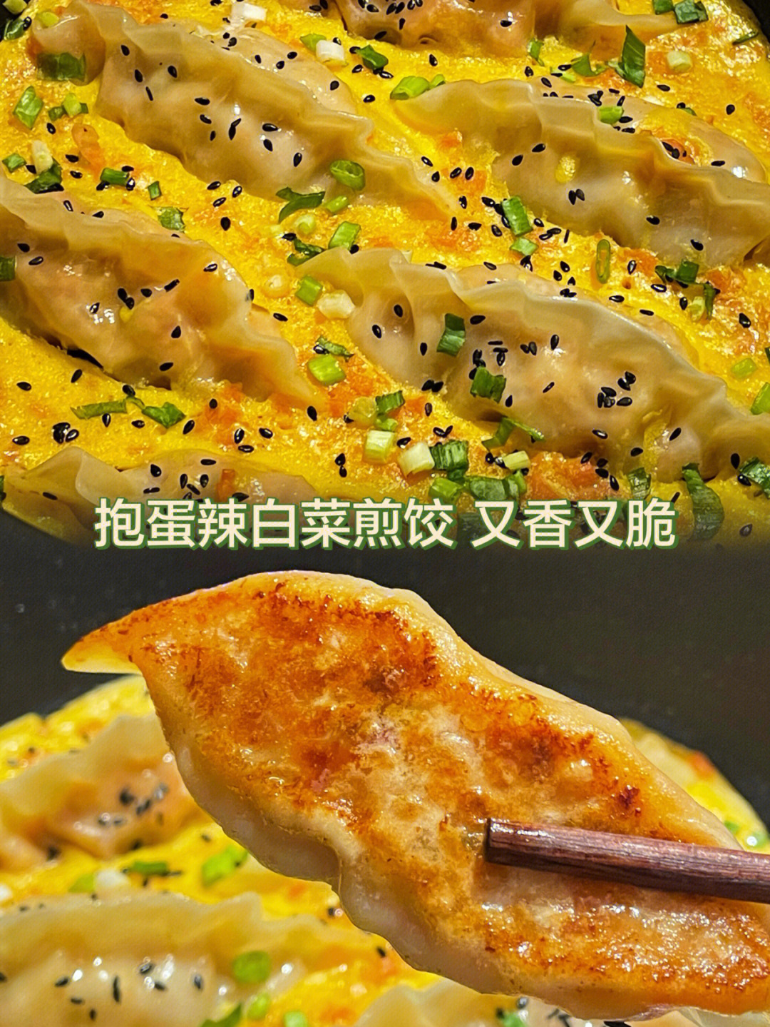 煎饺抱蛋图片