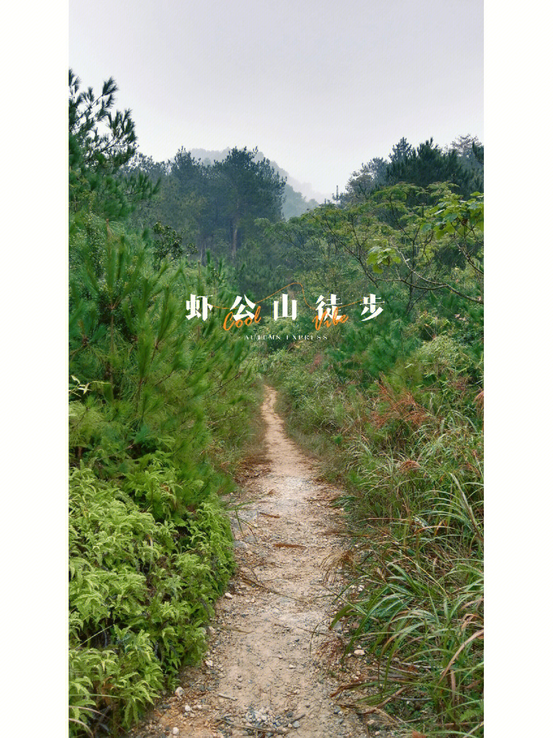 虾公山步道入口图片