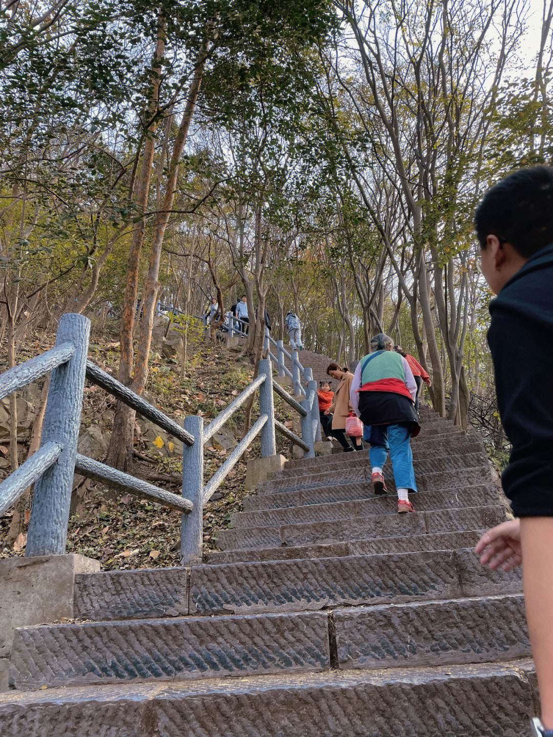 南京紫金山登山图片