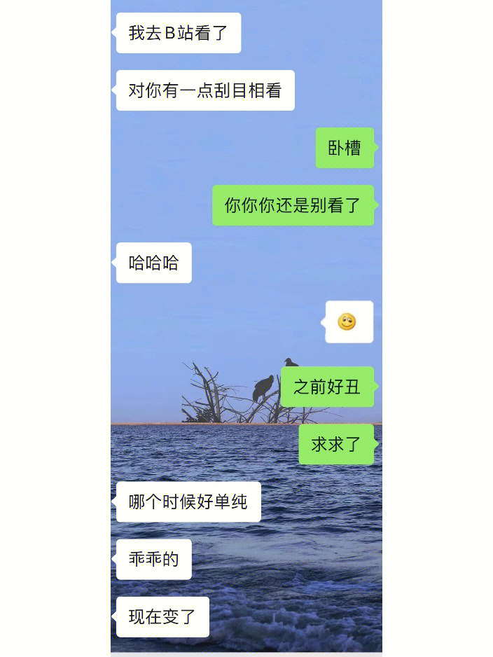 海王聊天记录图片