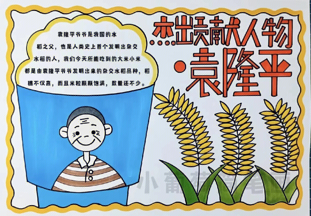 水稻之父手抄报 漫画图片