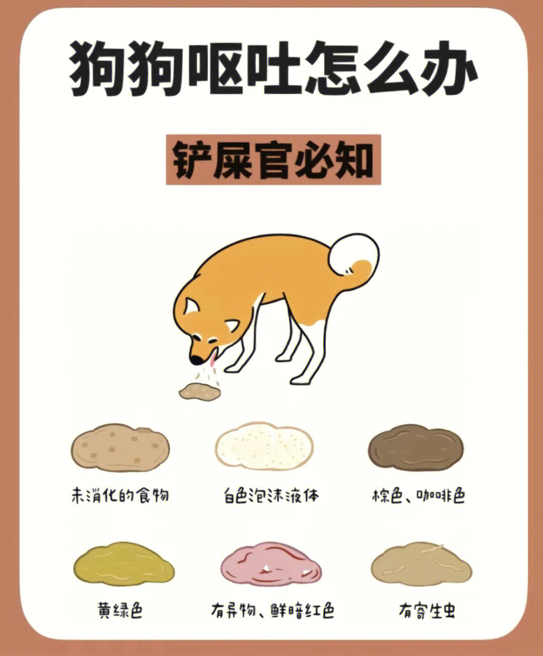 狗狗呕吐物图解图片