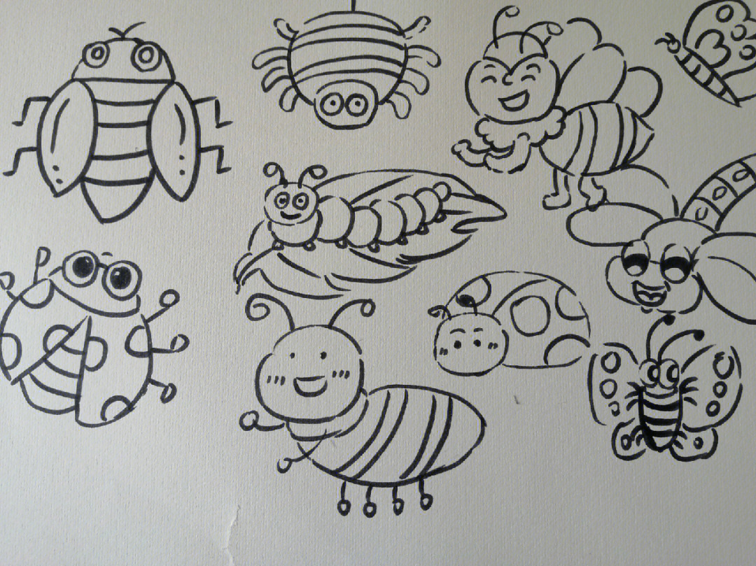 昆虫简笔画大全可爱图片