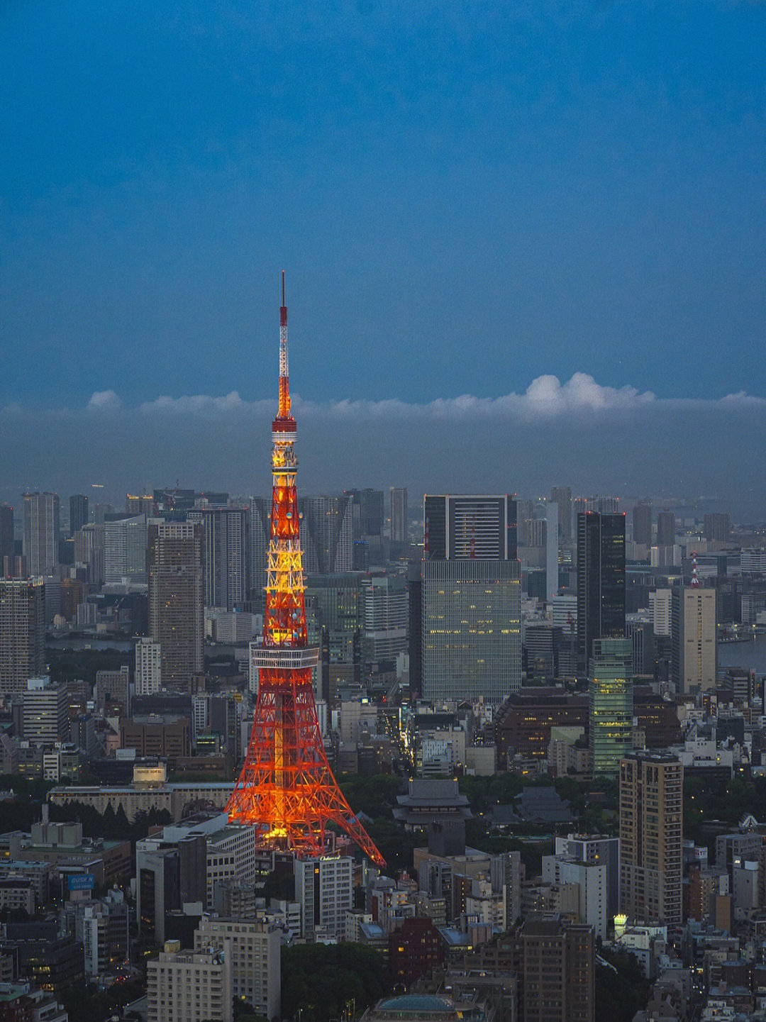 日本东京英里塔图片