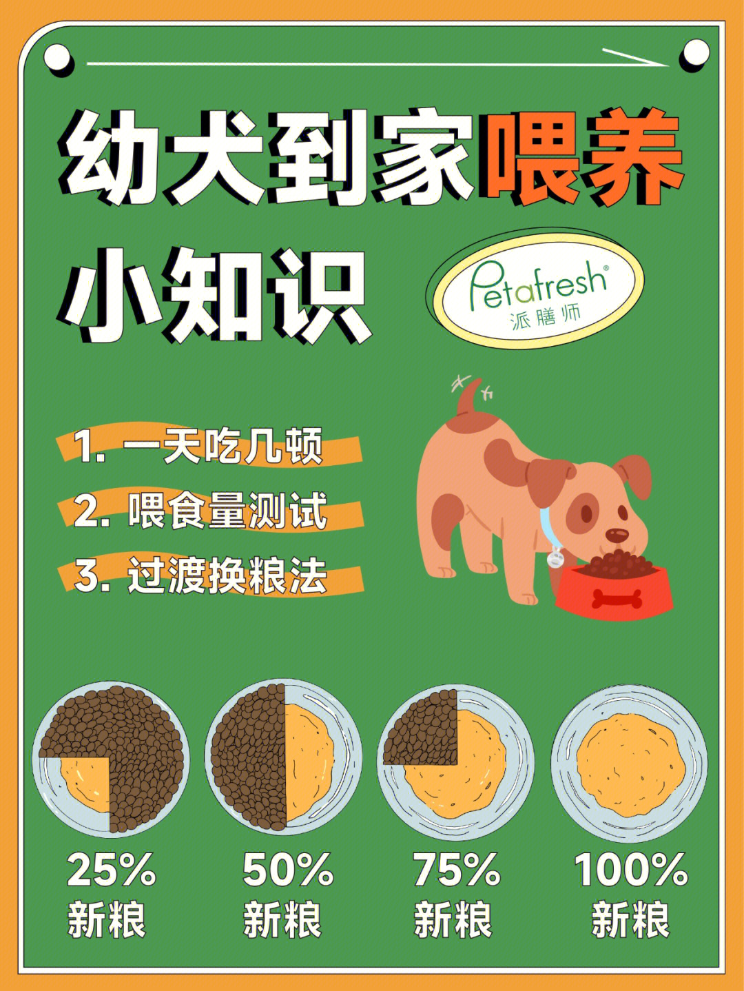 狗狗喂食量表图片