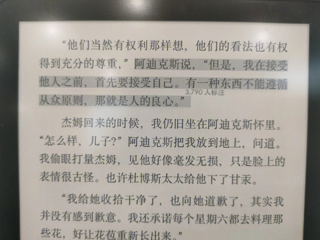 读之前还以为这是关于权谋的书,读之后才知道知更鸟暗指什么,我看有