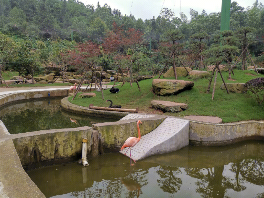 盘龙大观园海洋童话图片