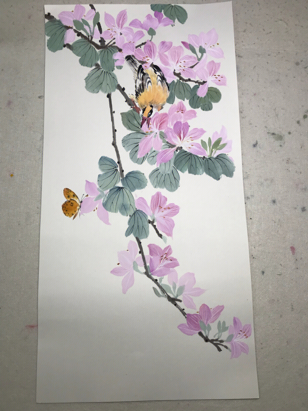 写意紫荆花树国画图片
