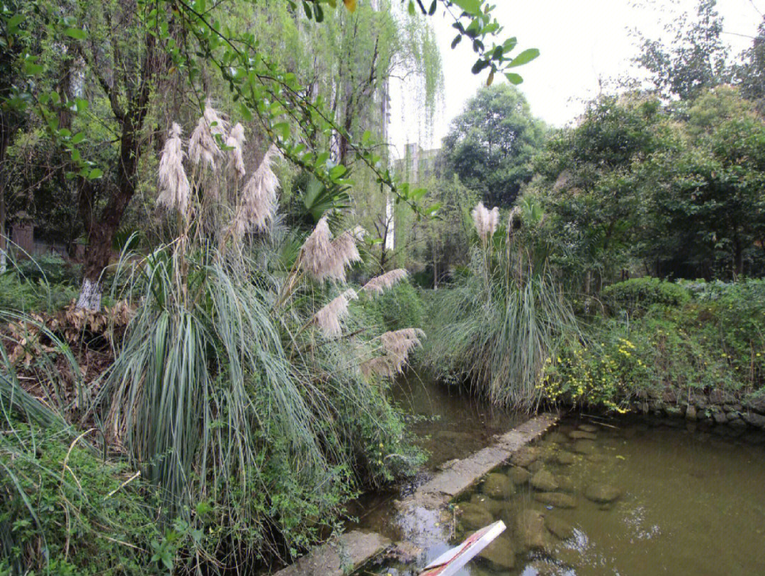 青白江花园沟风景区图片