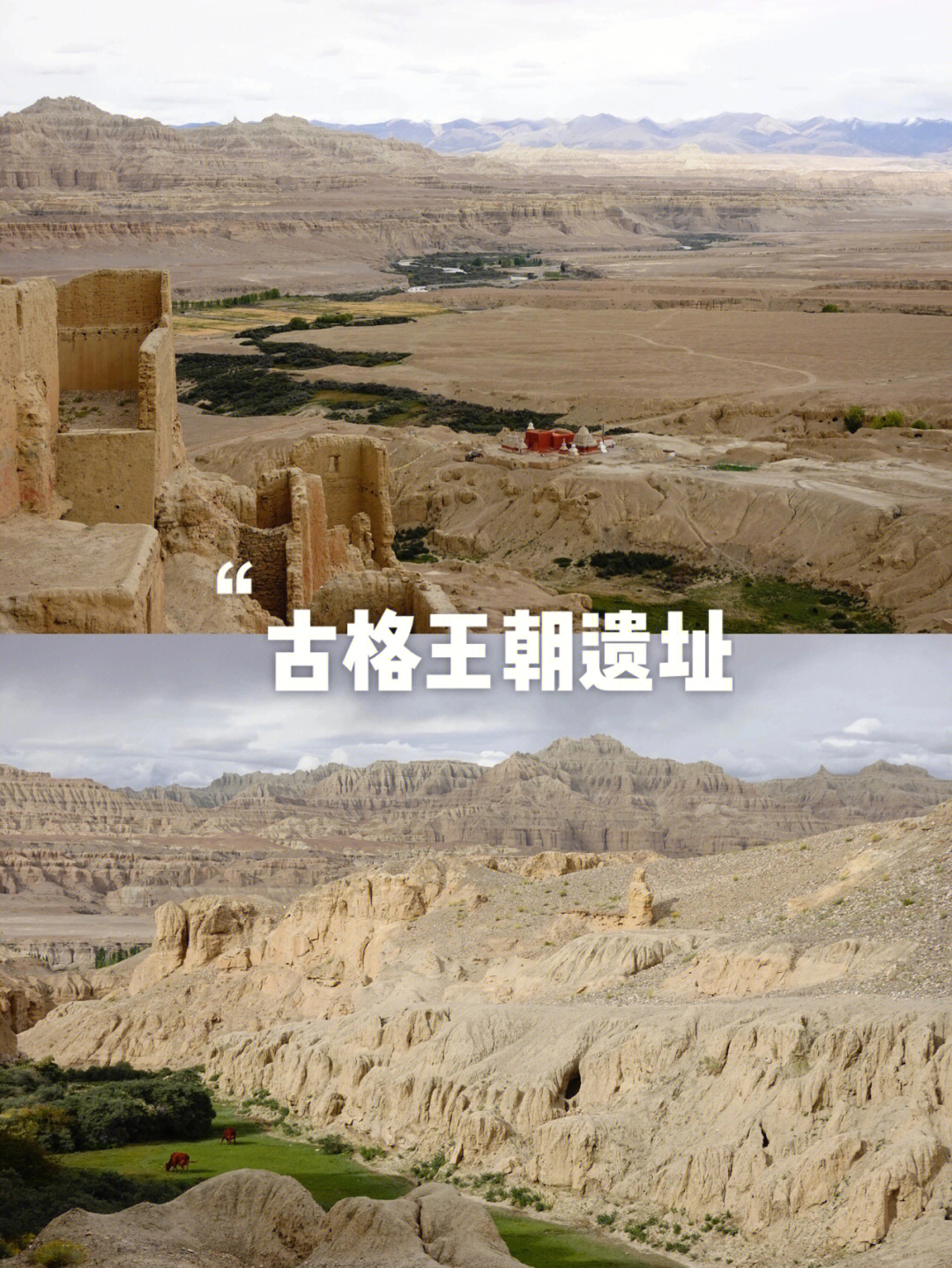 西藏古格王朝遗址恐高人艰难爬行