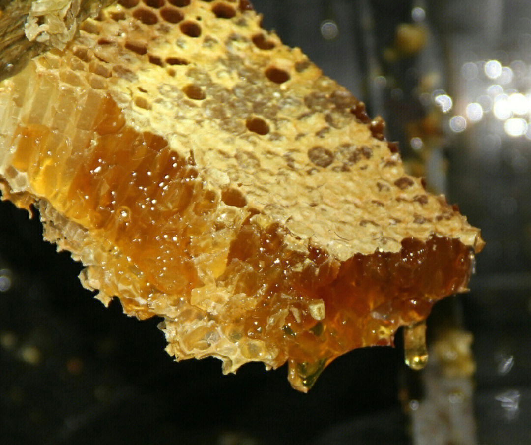 土蜂蜜的图片真图图片