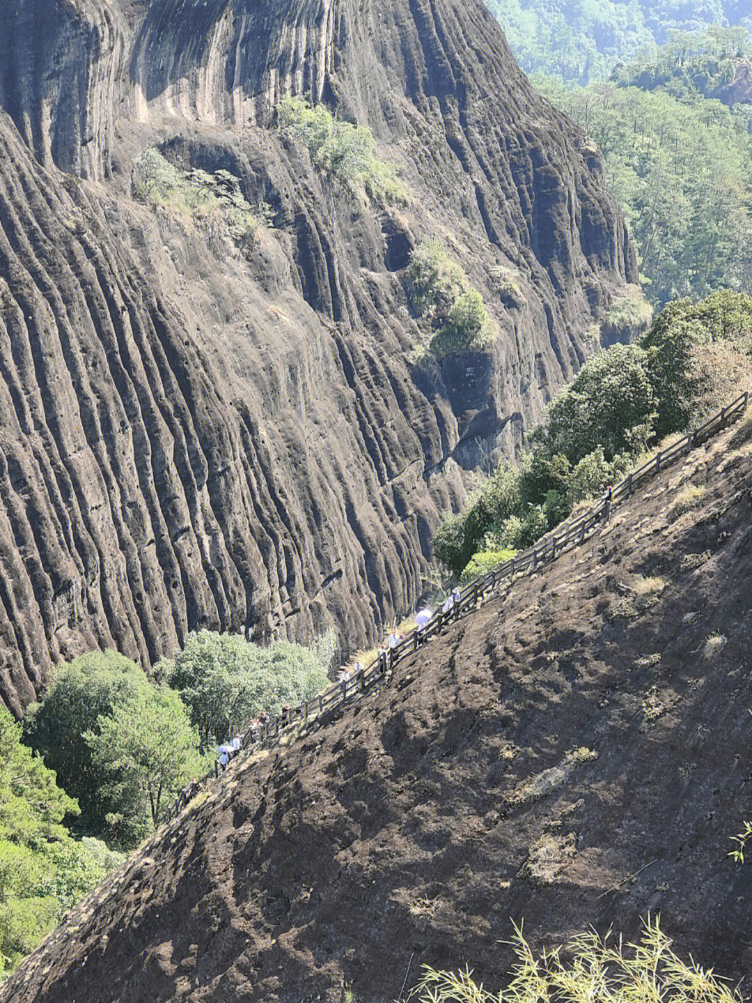 武夷山虎啸岩景区介绍图片