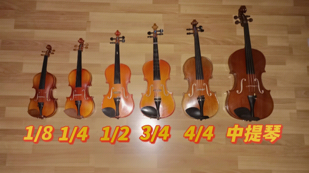 小提琴规格对照表图片