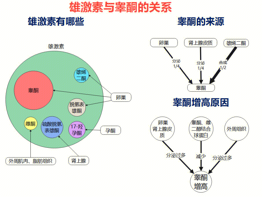 雄性激素过高图片