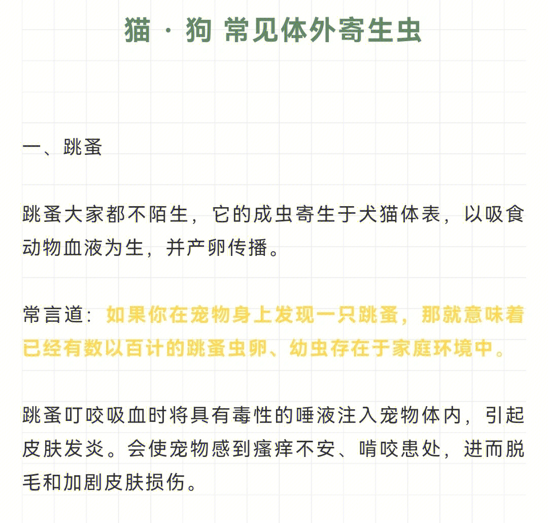 前几天看的8岁小男孩,感染弓蛔虫,导致势力下降