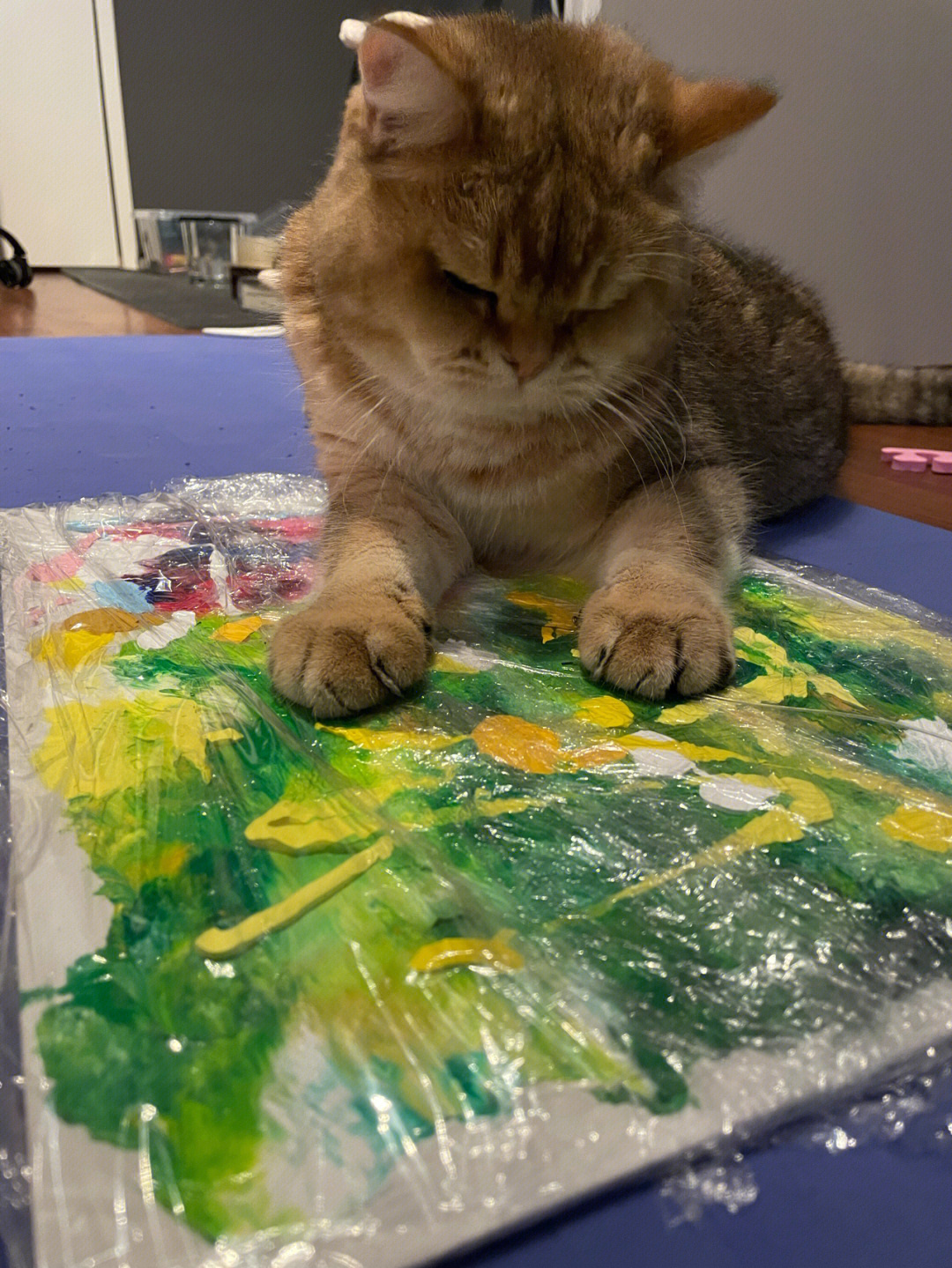 猫咪水粉画