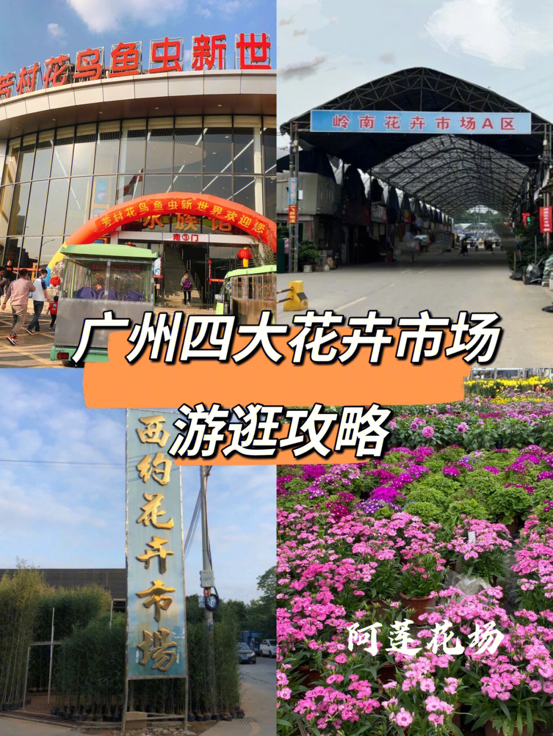 广州四大花卉市场,记得收藏921594芳村花鸟鱼虫市场——商品