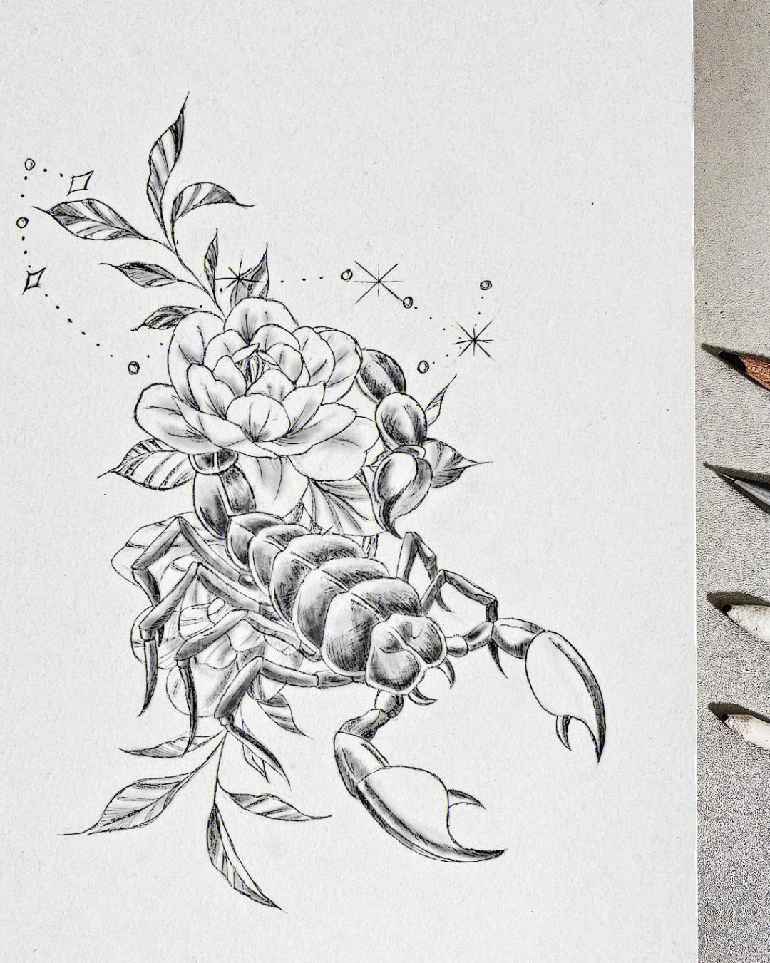 天蝎座纹身图案手稿图片