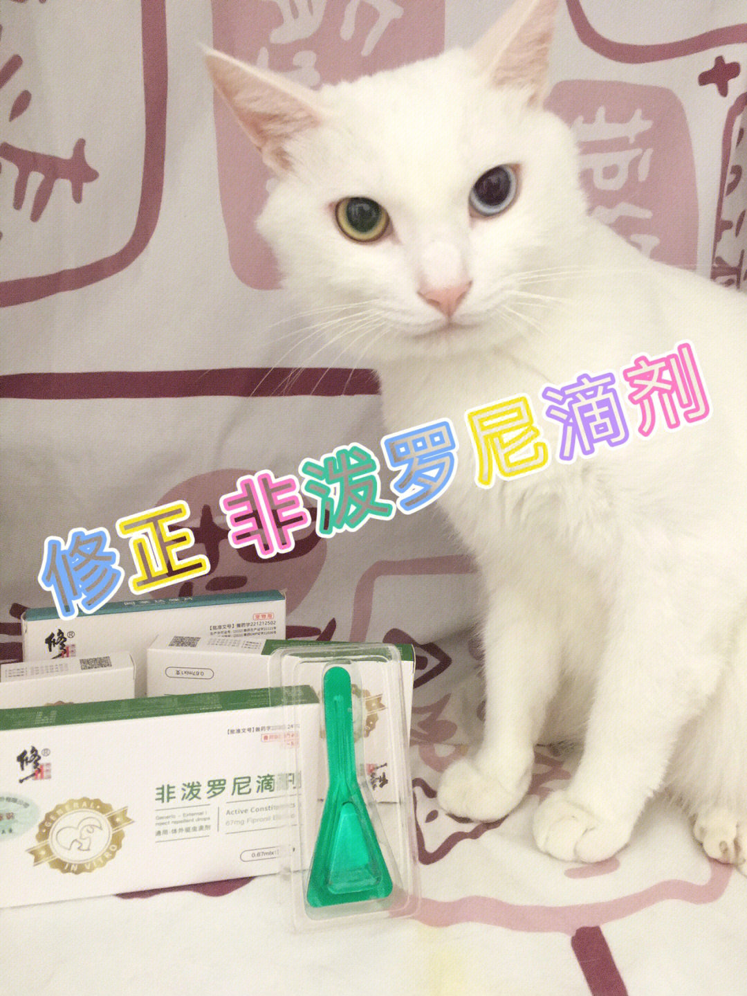 一杯奶茶04让健康成长修正驱虫