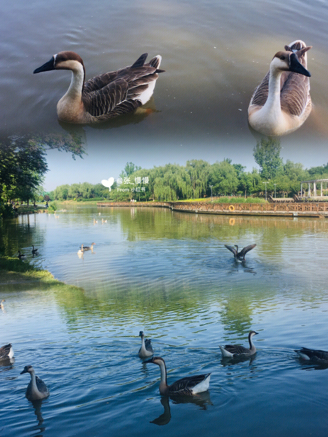 浐灞湿地公园鸟巢图片