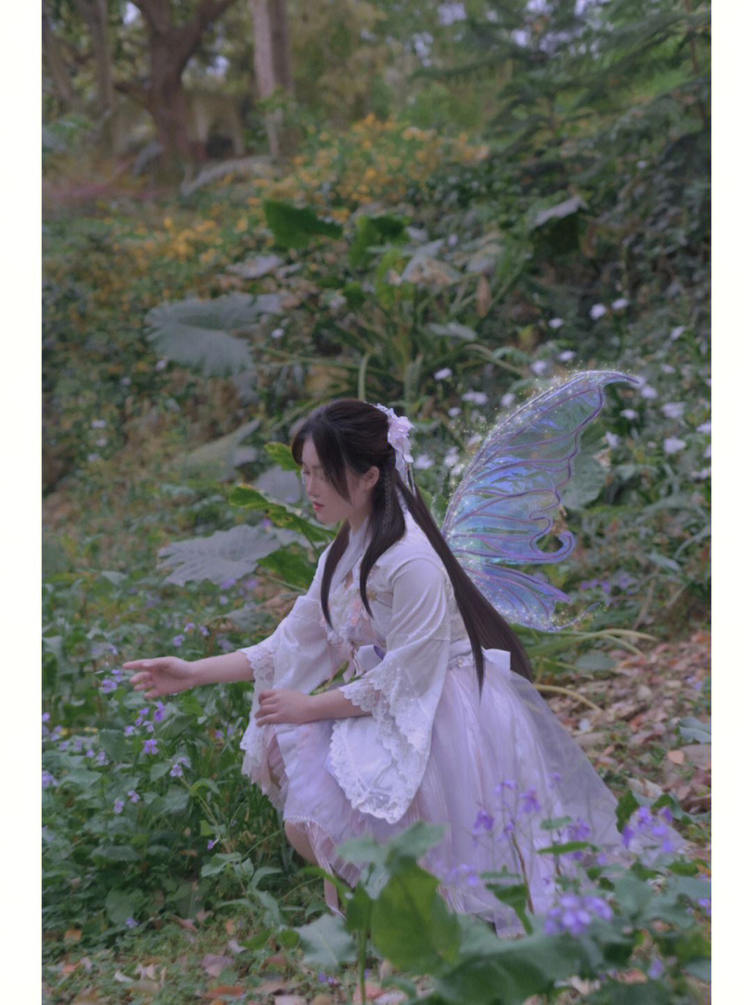 lolita紫樱茶春日浪漫