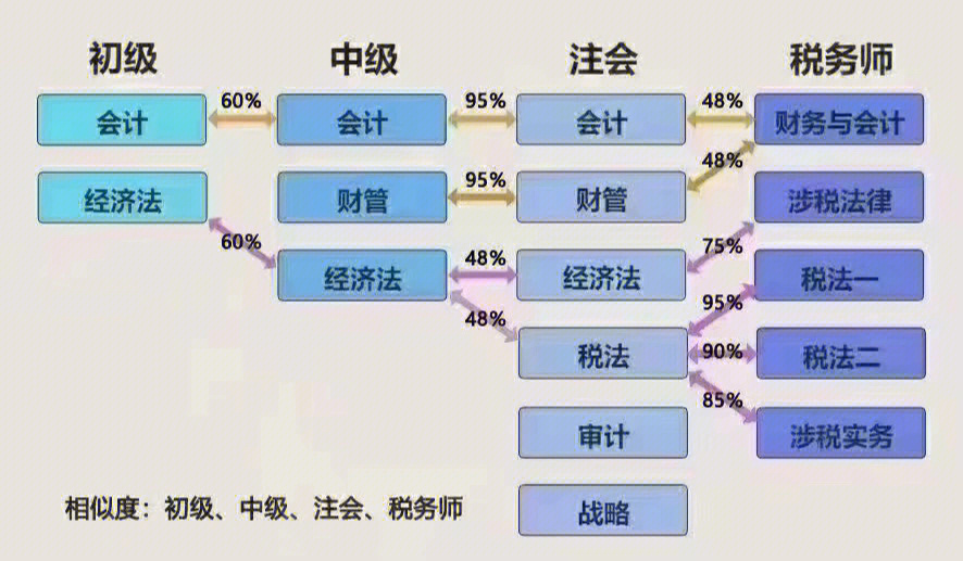 会计职业树怎么画图片图片