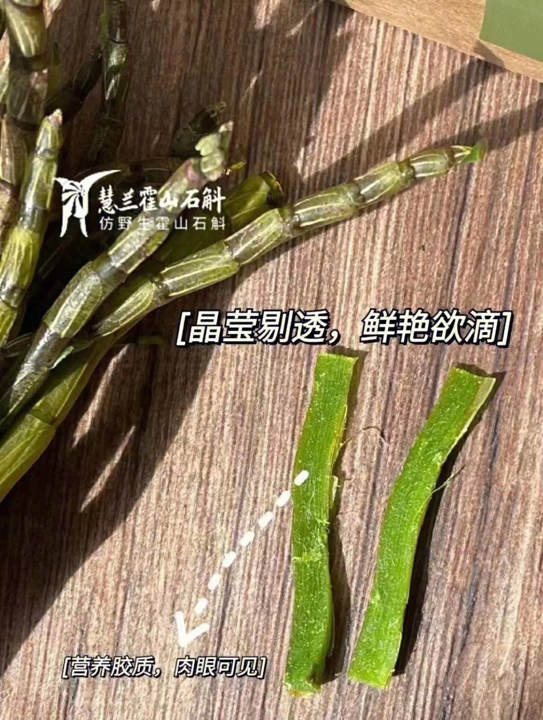 石斛鲜条榨汁泡水煲汤泡酒都可以