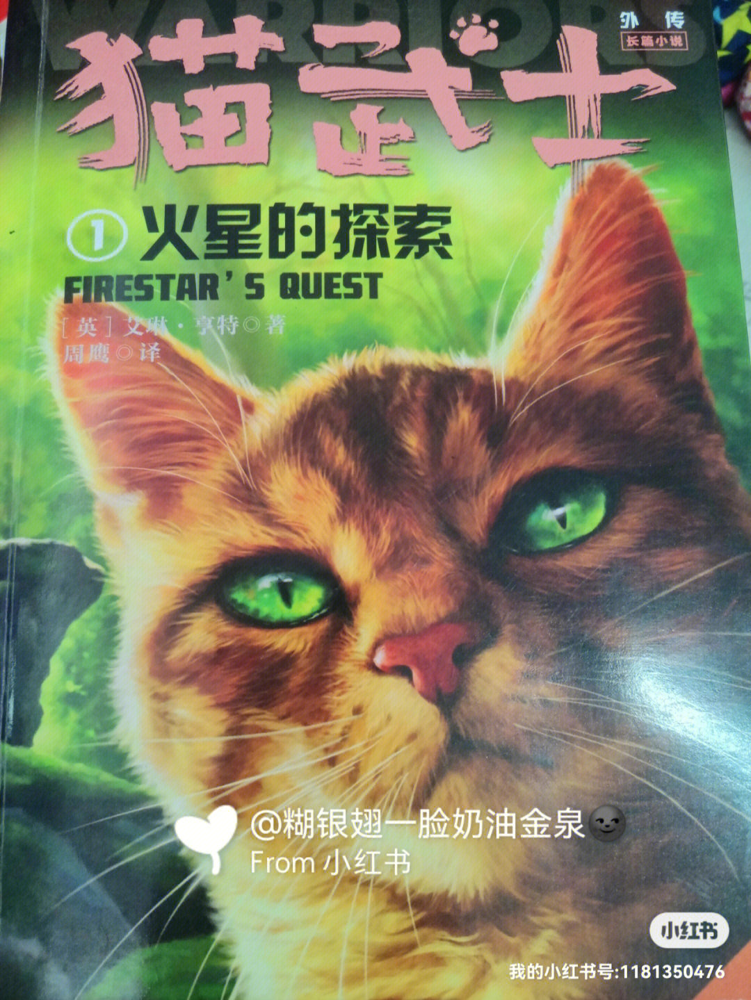 猫武士火星 族长图片