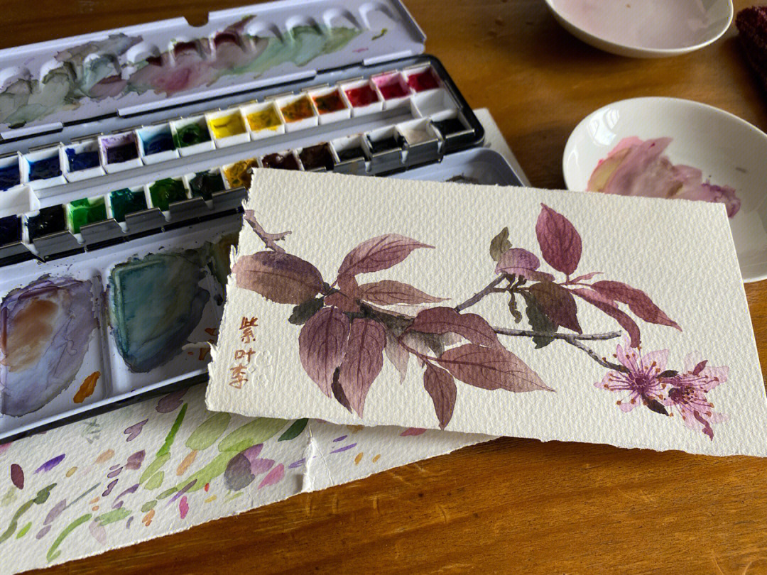 紫叶李树手绘图片