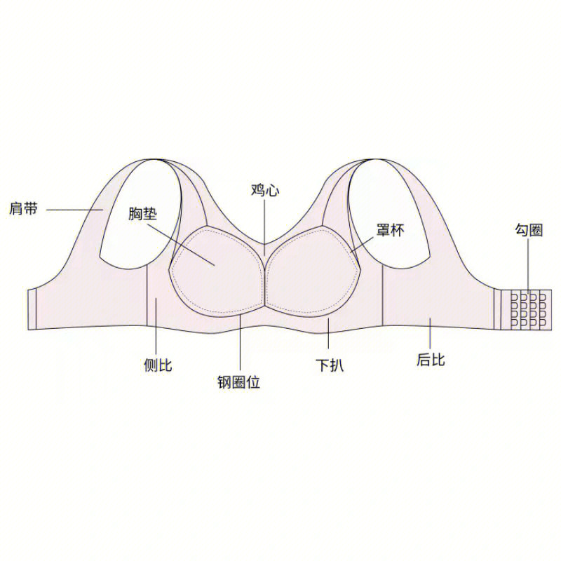 认识内衣结构0169