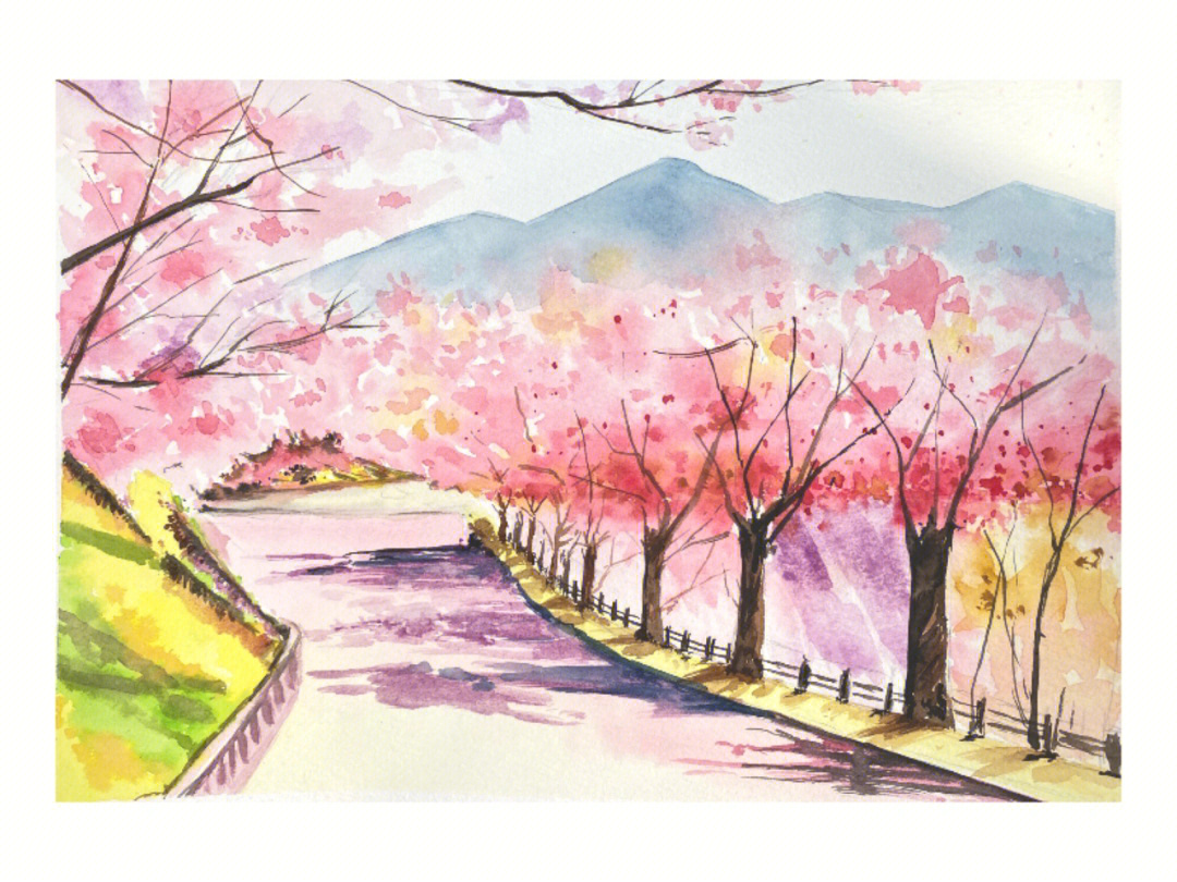 樱花水彩画 简单图片