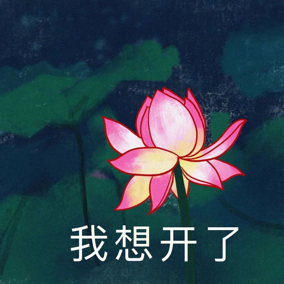 佛系荷花头像