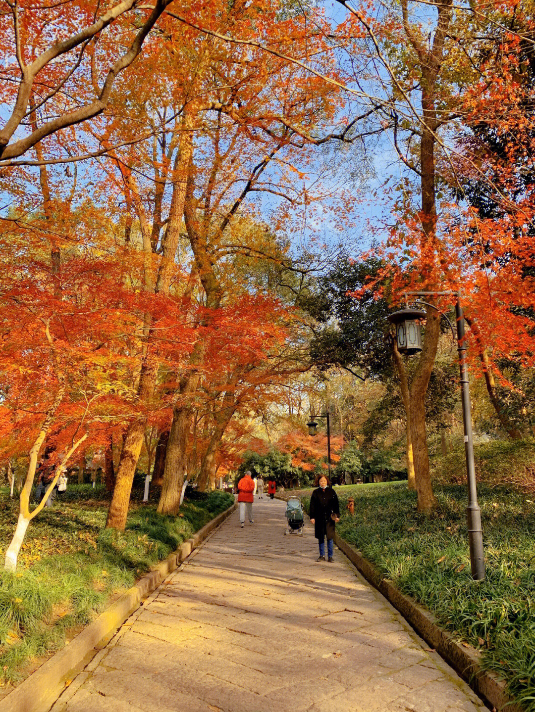 秋日太子湾公园