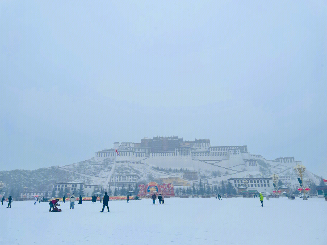 拉萨下雪了啦76