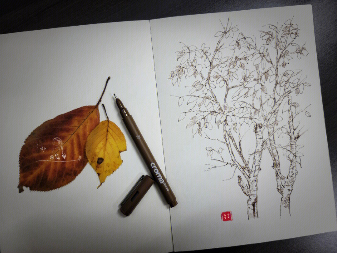 彩铅手绘樱花树铅笔图片