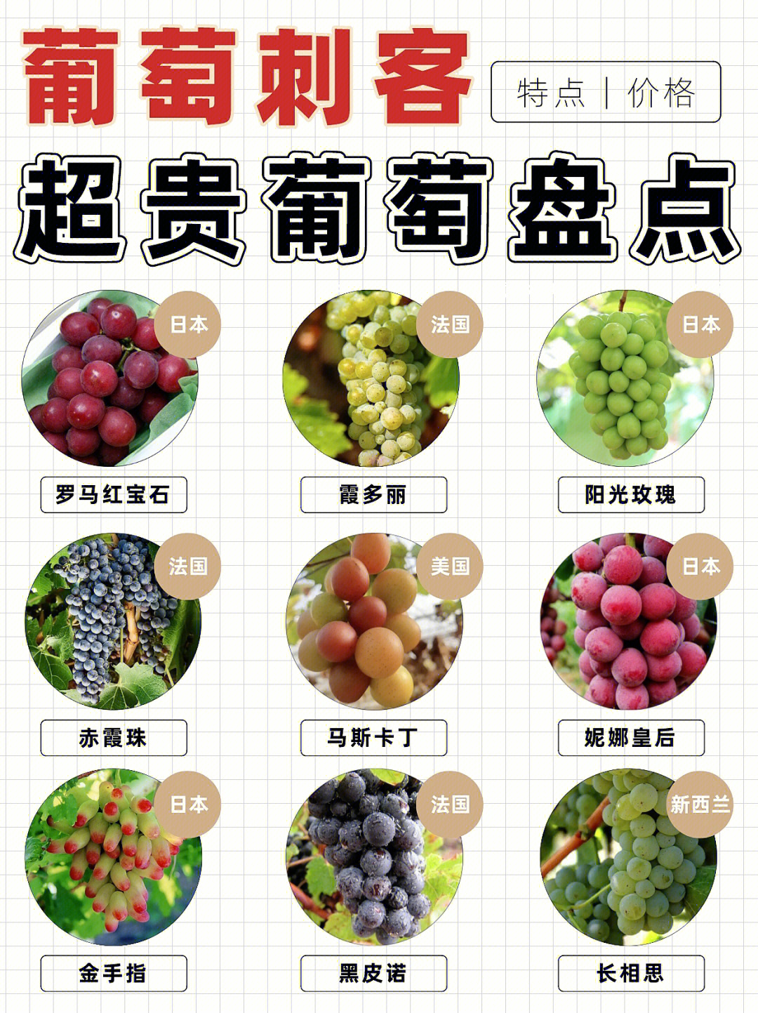 18大葡萄品种介绍图片图片