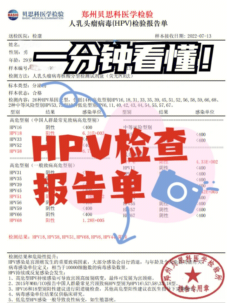 hpv检查结果正常图图片