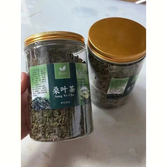 桑叶茶