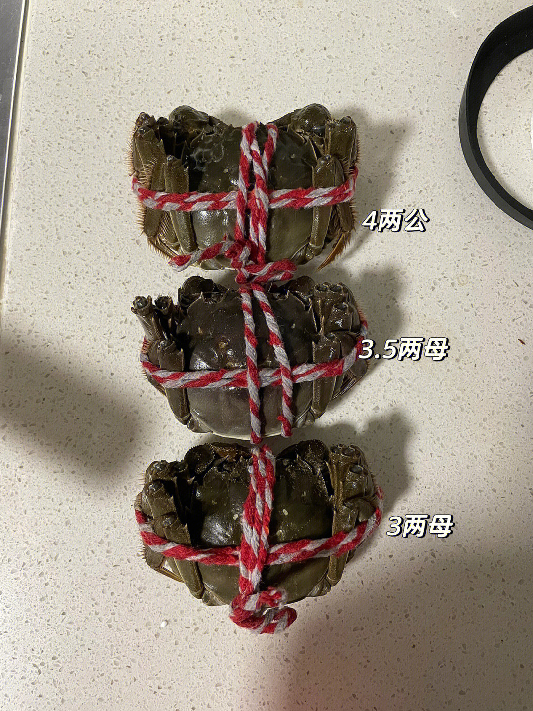 菜市场让我实现螃蟹和生蚝自由